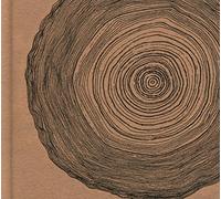 O - Year Of The Rabbit Deluxe CD - New CD - P23z