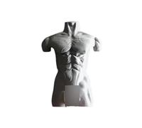 OAEPG Humorous Gift Ideas Muscular Man Hook Auto Stick Bathroom Use Sustainable Materials User Friendly Wall Decors Muscular Man Wall Hook