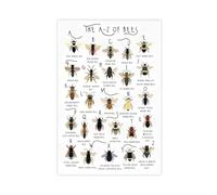 OAHFDF A-Z of Bumble Bees Canvas Poster Wall Art Decor Print Picture Paintings for Living Room Bedroom Decoration 16x24inch(40x60cm)