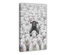 OAHFDF Black Sheep Photographic Canvas Poster Bedroom Decor Landscape Office Room Decor Gift 12x18inch(30x45cm)