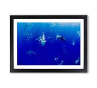 Oahu Sharks in Abstract Framed Print | A2 Black Framed Wall Art | Ready to Hang | Abstract Animal Picture | Living Room Bedroom Lounge Office