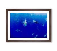 Oahu Sharks in Abstract Framed Print | A2 Walnut Framed Wall Art | Ready to Hang | Abstract Animal Picture | Living Room Bedroom Lounge Office