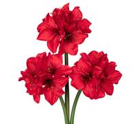 Oairse 3PCS Clivia Artificial Flowers, 44cm Faux Clivia Stem with 4 Heads | Silk Red Clivia Flower with Layered Petals for Vase Floral Arrangements Christmas Home Table Centerpiece Wedding Decor