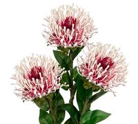 Oairse 4'' Large Artificial Chrysanthemum Flowers 3PCS Fake Spider Mums Flowers with 72cm Long Stem White Red Faux Leucospermum Cordifolium Flower for Wedding Flora Arrangement Bouquet