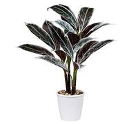 Oairse 63cm Tall Artificial Plant Cordyline Fruticosa Large Tropical Plant in Pots Decorative Fake Plants Large House Plant for Home Living Room Office Balcony Hotel Decoration
