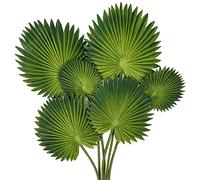 Oairse 6pcs Artificial Palm Leaves for Vase Decoration, Faux Tropical Greenery Stems in 3 Sizes, Fake Palm Plant for Home Decor Garden Party Wedding Table Centerpiece Boho Tropical Leaf Arrangement