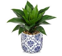 Oairse Artificial Agave Plant in Blue and White Ceramic Pot 10.6" Realistic Fake Plant Indoor Tropical Faux Greenery for Home Office Décor Bathroom Living Room Table Shelf Decoration