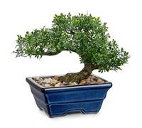 Oairse Artificial Bonsai Tree Juniper Faux Plants Indoor Small Fake Plants Decor with Blue Ceramic Pots for Home Table Office Desk Bathroom Shelf Bedroom Living Room Farmhouse Decorations