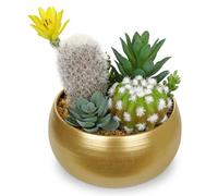 Oairse Artificial Cactus Plants Indoor, 7" Assorted Small Faux Succulent in Pots Fake Potted Desk Plant with Gold Bowl Mini Succulents Artificial Cactus Decor for Home Office Bathroom Table Shelf