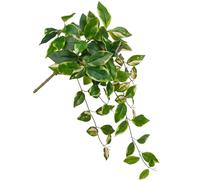 Oairse Artificial Hanging Plants Hanging Faux Pothos Vines Plants Fake Wall Plant Greenery Decor for Bedroom Bathroom Living Room Balcony Shelf Indoor Outdoor Décor