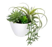 Oairse Artificial Hanging Succulent Plants Wall Decor 20cm Faux Greenery in White Pot Wall Mounted Fake Succulents for Home Office Bedroom Living Room Bathroom Decoration