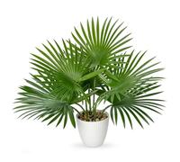Oairse Artificial Palm Plants in Pots 38cm Fake Plant with 7 Realistic Leaves for Home Decor Indoor, Decorative Faux Tropical Plant for Home Office Bathroom Kitchen Desk Corner Decoration