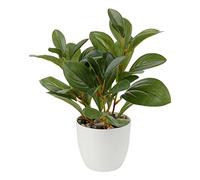 Oairse Artificial Plant Camellia 28cm Fake Plants in Pots Faux Camellia Plants with White Pots Fake Plant Potted Small Bonsai Tree for Home Bedroom Office Desk Kitchen Shelves Decoration