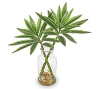 Oairse Artificial Plant in Glass Vase with Faux Water 36cm Decorative Fake Plants Realistic Faux Greenery Artificial Dracaena Reflexa Indoor Plant for Home Office Kitchen Bathroom Table Shelf Decor