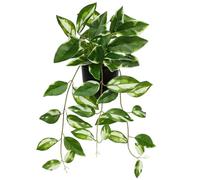 Oairse Artificial Plant in Pot 17.7" Faux Golden Pothos Fake Potted Plant for Indoor Décor Realistic Small Faux Greenery for Home Office Bathroom Kitchen Shelf Desk Table Decoration
