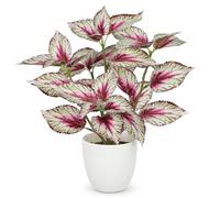 Oairse Artificial Plants Indoor 14.2" Small Fake Perilla Plant in Pot Potted Plants artificial Decor Faux House Plant with White Pot for Farmhouse Home Office Bathroom Living Room Table Shelf Decor