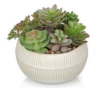 Oairse Artificial Succulent Arrangement Assorted Realistic Faux Succulent Plants in Ceramic Pot, 14cm Lifelike Fake Plants Indoor for Home Office Bathroom Kitchen Table Shelf Decor