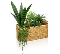 Oairse Artificial Succulent Plant Arrangement Centerpiece Assorted Fake Snake Succulents in Rectangular Woven Basket Faux Potted Succulents for Indoor Home Office Table Windowsill Shelf Decor, 30 cm