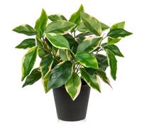 Oairse Fake Plants 30cm Artificial Plants Indoor with Black Pots Decorative Fake Potted Plant Realistic Faux Pothos N' Joy for Home Bathroom Living Room Kitchen Office Desk Shelves Decoration