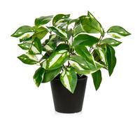 Oairse Fake Plants 30cm Artificial Plants Indoor with Black Pots Decorative Fake Potted Plant Realistic Faux Pothos N' Joy for Home Bathroom Living Room Kitchen Office Desk Shelves Decoration