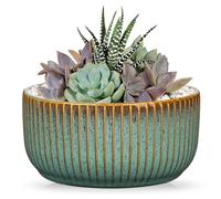 Oairse Plant Pots Indoor with Drainage Hole 6 inch Ceramic Plant Pot Grey Blue Succulent Pot Small Round Planters for Indoor Outdoor Plants Bonsai Bowl Decorative Flower Pots for Cactus Snake Plant