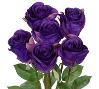 Oairse Purple Artificial Roses 6PCS 18.9" Silk Rose Flowers with Long Stems Realistic Faux Rose Bouquet for DIY Wedding Arrangements Table Vase Centerpieces Home Event Decor