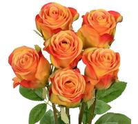 Oairse Roses Artificial Flowers 6PCS 18.9" Orange Rose Silk Flowers with Long Stems Realistic Fake Rose Bouquet for DIY Wedding Arrangements Table Vase Centerpieces Autumn Home Event Decor