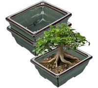 Oairse Set of 2 Bonsai Pots Shallow Succulent Planters for Live Bonsai Trees, 16cm/6.3" Ceramic Plant Pot for Indoor/Outdoor Succulents with Drainage Hole, Cactus Plant Pot, Blue Flower Pot