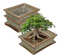 Oairse Set of 2 Bonsai Pots Shallow Succulent Planters for Live Bonsai Trees, 19cm/7.5" Ceramic Plant Pot for Indoor/Outdoor Succulents, Cactus with Drainage Hole and Saucers, Brown Flower Pot