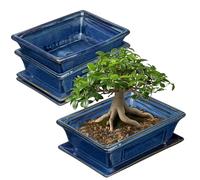 Oairse Set of 2 Bonsai Pots Shallow Succulent Planters for Live Bonsai Trees, 19cm/7.5" Ceramic Plant Pot for Indoor/Outdoor Succulents, Cactus with Drainage Hole and Saucers, Blue Flower Pot