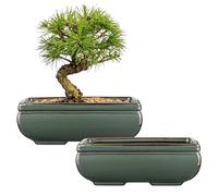 Oairse Set of 2 Bonsai Pots Shallow Succulent Planters for Live Bonsai Trees, 22cm/8.7" Ceramic Plant Pot for Indoor/Outdoor Succulents with Drainage Hole, Cactus Plant Pot, Blue Flower Pot