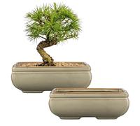 Oairse Set of 2 Bonsai Pots Shallow Succulent Planters for Live Bonsai Trees, 22cm/8.7" Ceramic Plant Pot for Indoor/Outdoor Succulents with Drainage Hole, Cactus Plant Pot, Brown Flower Pot