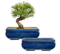 Oairse Set of 2 Bonsai Pots Shallow Succulent Planters for Live Bonsai Trees, 22cm/8.7" Ceramic Plant Pot for Indoor/Outdoor Succulents with Drainage Hole, Cactus Plant Pot, Blue Flower Pot