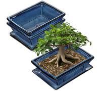 Oairse Set of 2 Bonsai Pots Shallow Succulent Planters for Live Bonsai Trees, 25.5cm+19cm Ceramic Plant Pot for Indoor/Outdoor Succulents with Drainage Hole, Cactus Plant Pot, Blue Flower Pot