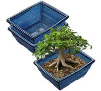 Oairse Set of 2 Bonsai Pots Shallow Succulent Planters for Live Bonsai Trees, 25.5cm Ceramic Plant Pot for Indoor/Outdoor Succulents with Drainage Hole, Cactus Plant Pot, Blue Flower Pot