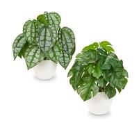 Oairse Set of 2 Fake Plants in Pots 24cm Artificial Monstera Plant Samll Faux Pothos Potted Plants Decorative Realistic Tropical Plant for Home Kitchen Bathroom Office Shelf Decoration