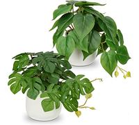 Oairse Set of 2 Small Artificial Plants in Ceramic Pots Decorative Fake Potted Plants Tropical Faux Plant Realistic Greenery House Plant Indoor for Aesthetic Home Office Kitchen Bathroom Desk Décor