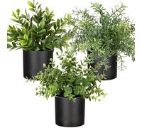 Oairse Set of 3 Small Fake Plants Potted Artificial Plants in Black Pot Faux Eucalyptus Rosemary Greenery Decorative Fake House Plant for Home Office Balcony Desk Shelf Bathroom Decoration