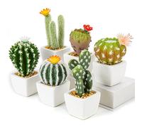 Oairse Set of 6 Mini Artificial Cactus Plant in Ceramic Pots Assorted Artificial Succulent Plants Decorative Faux Cacti Small Fake Plants for Home Kitchen Bathroom Desk shelf Indoor Decor