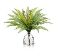Oairse Small Artificial Boston Fern Plants in Glass Vase with Faux Water 30cm Fake Boston Branches Plant in Vase for Shelf Desk Home Kitchen Bathroom Room Coffee Table Centerpieces Decor