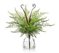 Oairse Small Artificial Boston Fern Plants in Glass Vase with Faux Water 30cm Fake Boston Branches Plant in Vase for Shelf Desk Home Kitchen Bathroom Room Coffee Table Centerpieces Decor