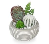Oairse Small Artificial Cactus Plant in Cement Pots Assorted Artificial Succulent Plants Decorative Faux Cacti Small Fake Plants for Home Kitchen Bathroom Desk shelf Indoor Decor