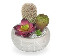 Oairse Small Artificial Plant in Cement Pots 14cm Artificial Succulent & Cactus Plants Realistic Mini Faux Desert Plants Arrangement Fake Plants Potted for Home Office Kitchen Desk shelf Indoor Decor