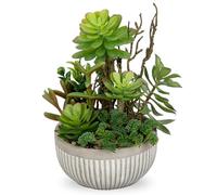Oairse Small Artificial Succulents Plants Assorted Fake Plants in Cement Pots Fake Potted Plant Decorative Artificial Plants Indoor for Home Bathroom Kitchen Office Living Room Table Shelf Decor