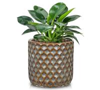 Oairse Small Ceramic Pots for Plants, 5.3 inch Brown Plant Pot Indoor with Drainage Ceramic Planters for Indoor Plants Succulent Planters Decorative Flower Pots for Cactus, Snake Plant, Herb
