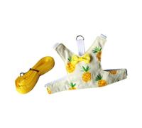 OAJABBGE Adjustable Small Animal Leash Soft Fabric Harness Vest for Outdoor Adventures and Indoor Training Walking Exercise Use Pet Harness Vest for Small Animal