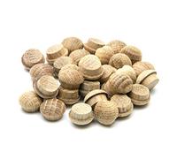 Oak Mushroom Plug 1/2" - Pack of 50