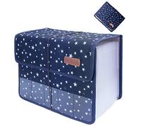 Oak-Pine Cute Portable Expandable Accordion 13 Pockets A4 Letter Size File Folder Oxford Expanding Document Wallet Briefcase Business File Organizer Bag with Transparent Card Slot (Blue Star)