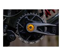 Oak Sram Dub M18/m30lh Crank Screw One Size Gold