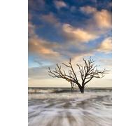 Oak Tree Botany Bay Edisto Island SC Gratitude Journal: 6 x 9 hardcover notebook with 100 lined pages